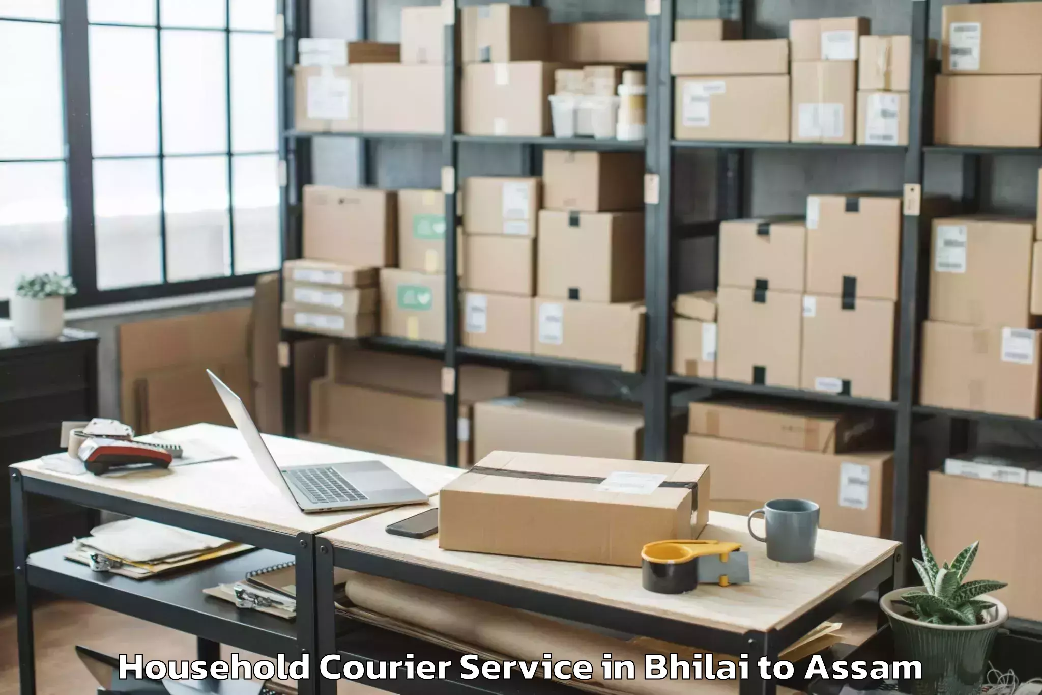 Reliable Bhilai to Udarbond Household Courier